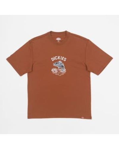 Dickies Camiseta gráfica dumfries en marrón claro