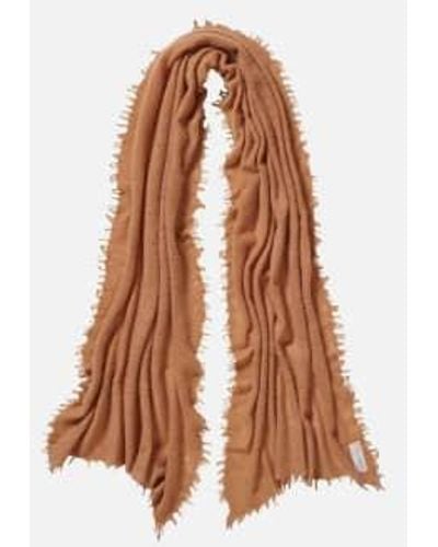 PUR SCHOEN Camel Hand Felted Cashmere Soft Scarf + Gift Camel - Brown