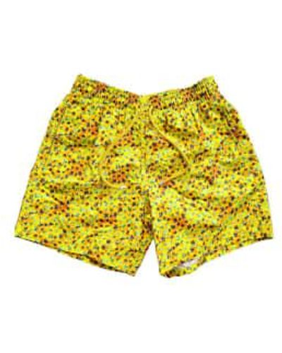 Vilebrequin Shorts baño moorea micro turtles en amarillo sol mooc4b38-110