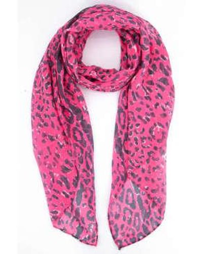 Miss Shorthair LTD Miss Shorthair 2125Hp All Over Print Scarf With Lined Border In Hot Pink - Rosa