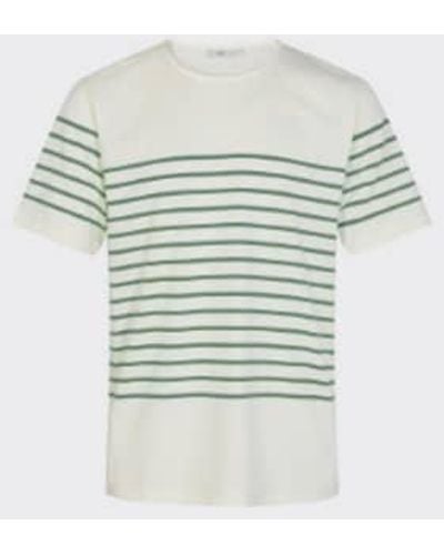 Minimum T-shirt Balser embruns marins - Multicolore