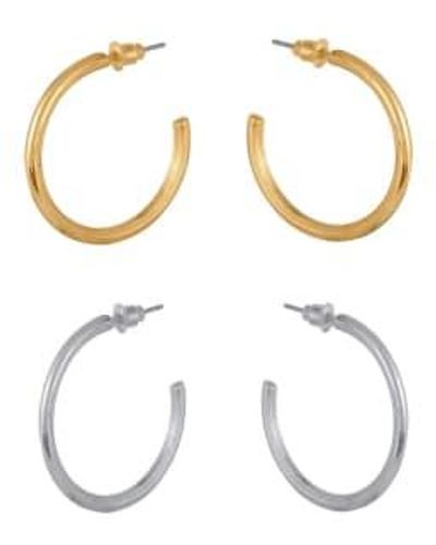Big Metal Hoop Earrings Anthonia Silver Plated - Metallic