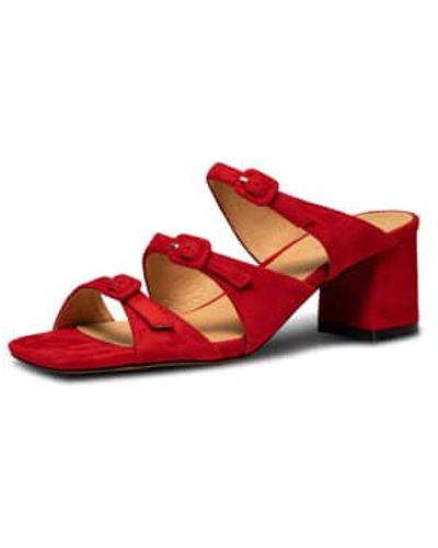 Shoe The Bear Hanna Hebilla - Rojo