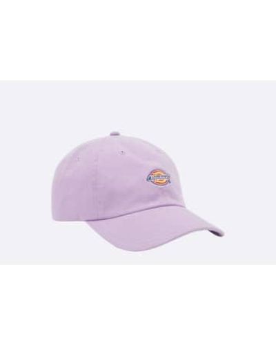 Dickies Hardwick Baseball Cap * / Morado - Purple