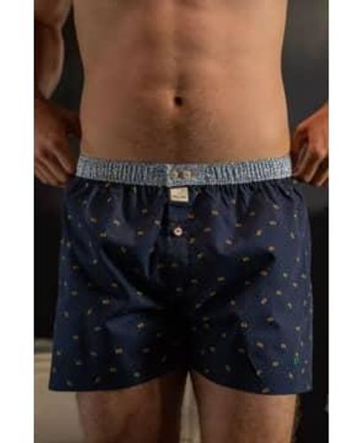 Billybelt Boxer Shorts In Piranha - Blu