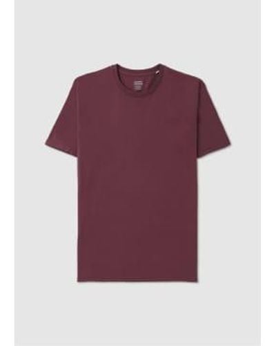 COLORFUL STANDARD T-shirt biologique classique en prune poussiéreuse - Violet