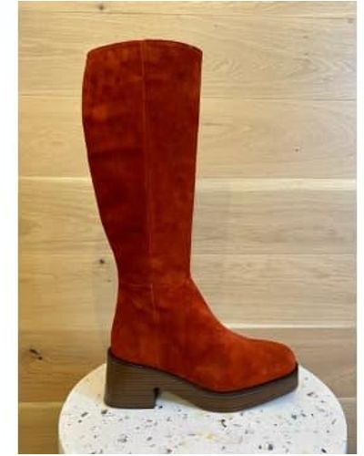 Unisa Moser Boots Brick - Marrone