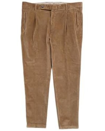 Fresh Corduroy Pleated Chino Pants - Natural