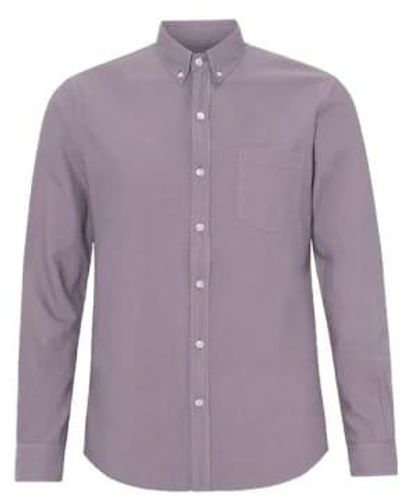 COLORFUL STANDARD Botón orgánico camisa púrpura haze - Morado
