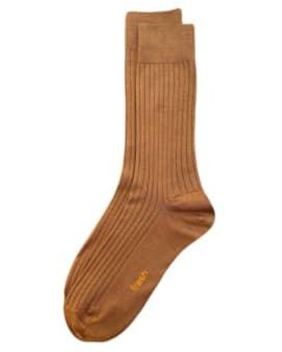 Fresh Cotton Mid-calf Lenght Socks - Brown
