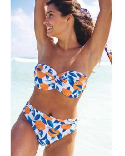 Panache Ella Twist Bandeau Bikini Top In Sicily Print - Multicolore