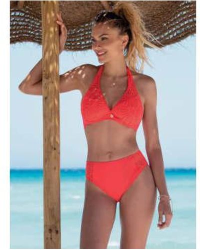 Antigel Das Muse Tooth Bikini Top in Coral - Rot