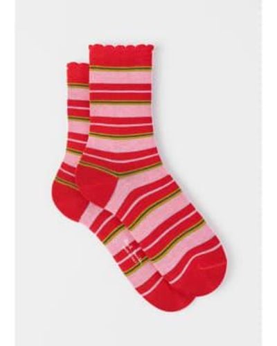 Paul Smith Emilia Stripes Frill Calcetines Col: Rojos, Tamaño: OS