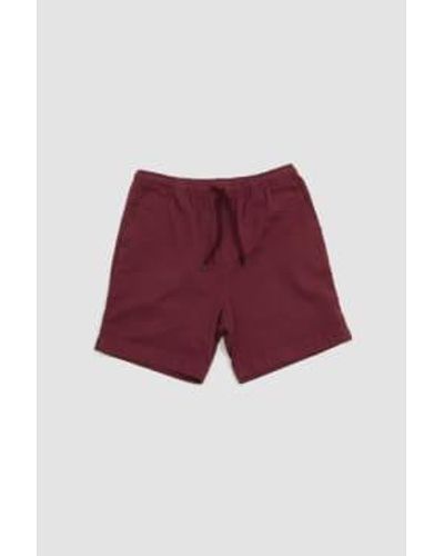 Schnayderman's Shorts Twill Gd Burdungy - Rot