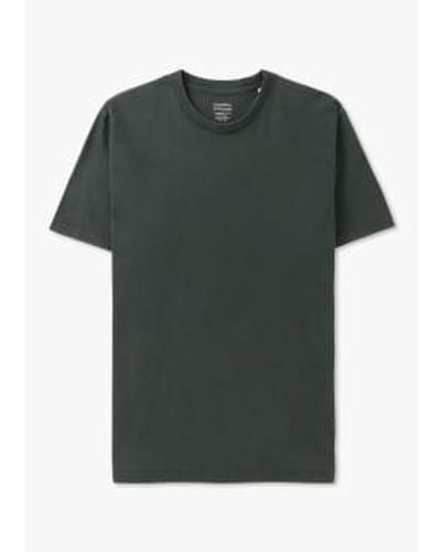 COLORFUL STANDARD Camiseta orgánica clásica hombres en hunter - Verde