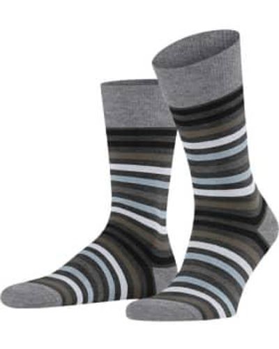 FALKE Asphalt Mel Tinted Stripe Socks 39-42 - Gray