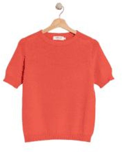 indi & cold Indi And Cold Plain Knit Jumper In - Rosso