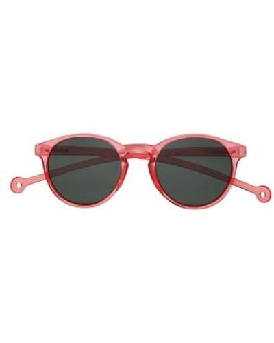 Parafina Eco Friendly Sunglasses Isla 1 - Marrone