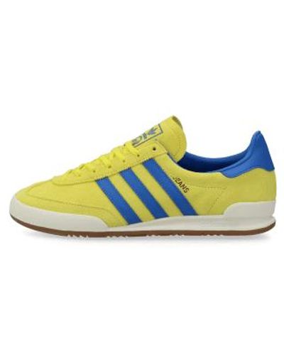 adidas Jeans Pantone Off And Blue - Giallo