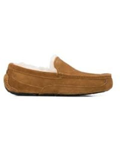 UGG Mocasines tipo pantuflas con forro piel oveja Ascot - Marrón