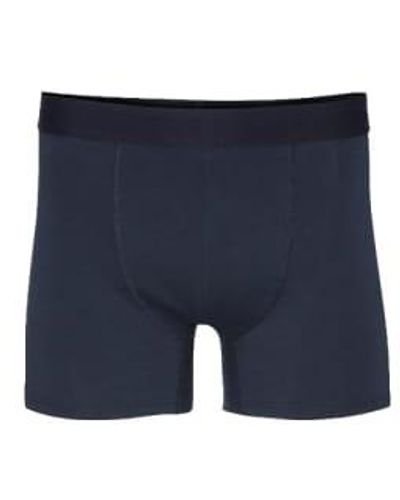 COLORFUL STANDARD Classic Organic Boxers Blue