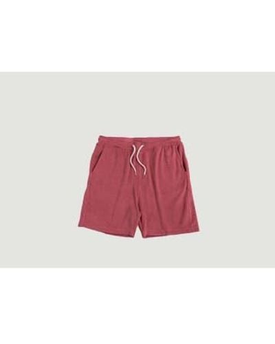 Harmony Pantalones cortos algodón Pierino - Rojo
