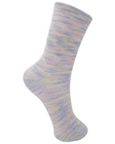 Black Colour vigga Socks Multi - Grey