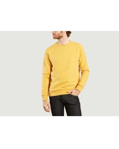 COLORFUL STANDARD Classic Sweatshirt - Giallo