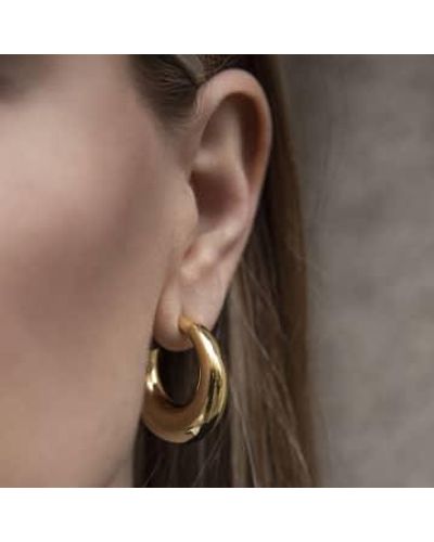 Ariane Jewels Essential Hoop Earring U - Brown