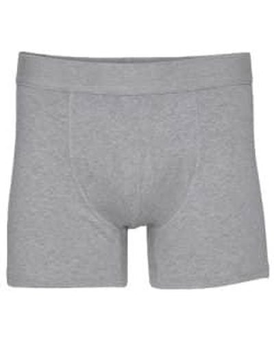 COLORFUL STANDARD Classic Organic Boxers Heather / M - Gray