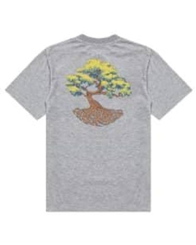 Hikerdelic Trunk Ss T-shirt - Grey