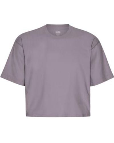 COLORFUL STANDARD Haze Organic Boxy Crop T Shirt - Viola