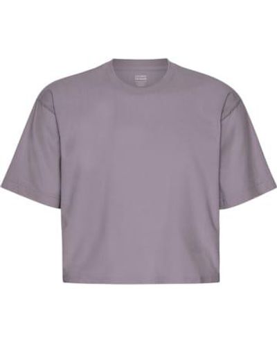 COLORFUL STANDARD Lila dunst organische kastenkruppt-shirt