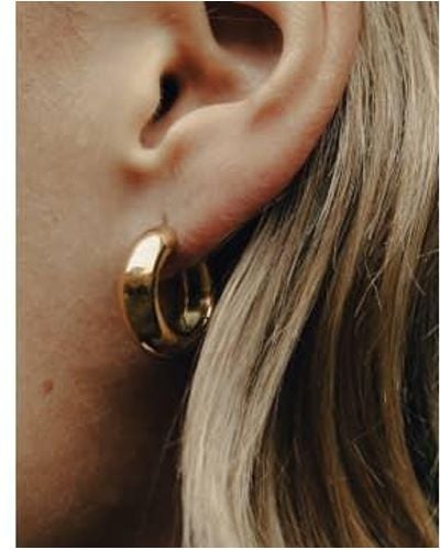 Nordic Muse Boucles d'oreilles en gras à levier moyen en or, étanche - Marron