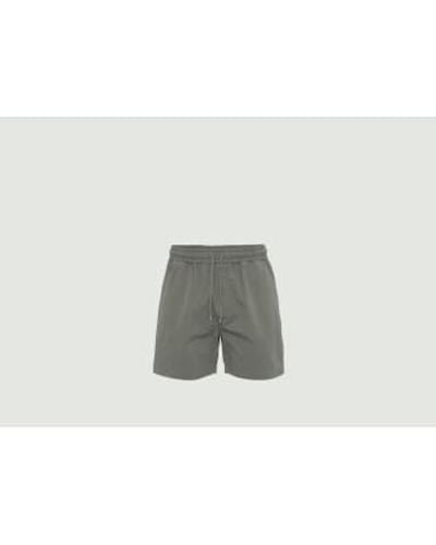 COLORFUL STANDARD Twill Shorts S - Gray