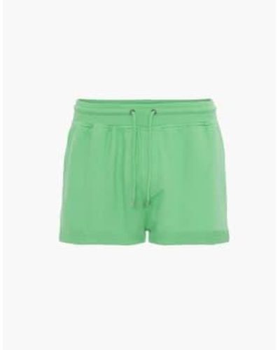 COLORFUL STANDARD Shipshorts orgánicos - Verde