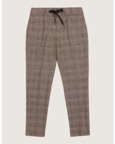 Circolo 1901 Fondente Checked Stretch Cotton jogging Trouser 50 - Gray