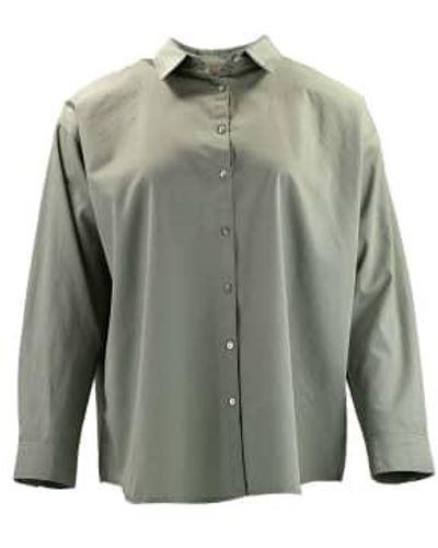 shades-antwerp Maxou Shirt Cotton - Green