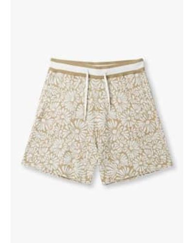 CHE S Daisy Knitted Shorts - Natural
