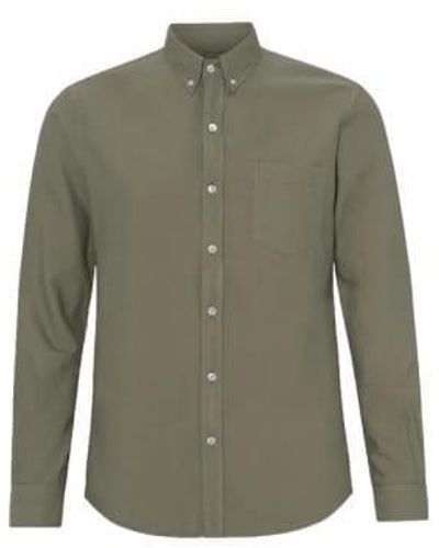 COLORFUL STANDARD Camisa oxford algodón orgánico oliva polvorienta - Verde
