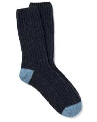 Royalties Benjamin Maritime Socks - Blue