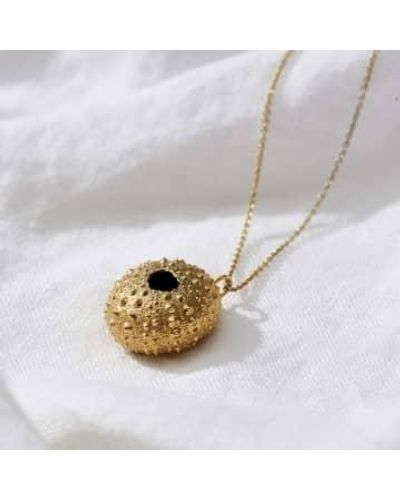 Posh Totty Designs Sea Urchin Necklace 18ct Gold Plated - White