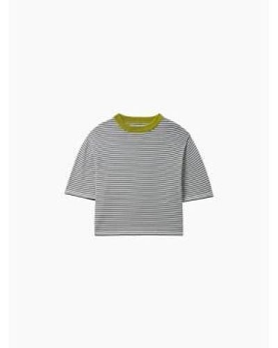 Cordera Cotton Striped T-shirt - Gray