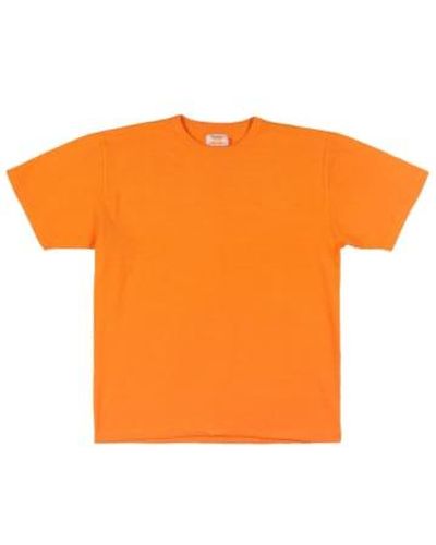 Sunray Sportswear T-shirt haleiwa poivre - Orange