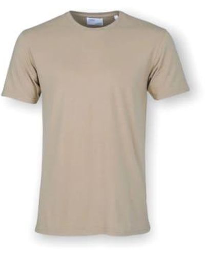 COLORFUL STANDARD Classic Tee Oyster Xxl - Natural