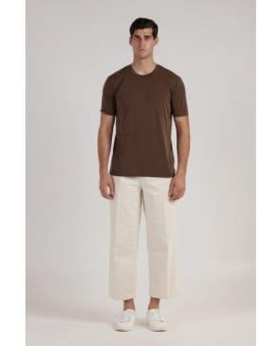 Daniele Fiesoli Cotton Silk Round Neck T Shirt - Marrone