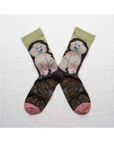 Bonne Maison Moss Dog Knitted Socks 36-38 - Multicolour