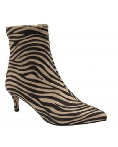 Ravel And Beige Zebra Print Currans Pointed Toe Ankle Boots - Marrone