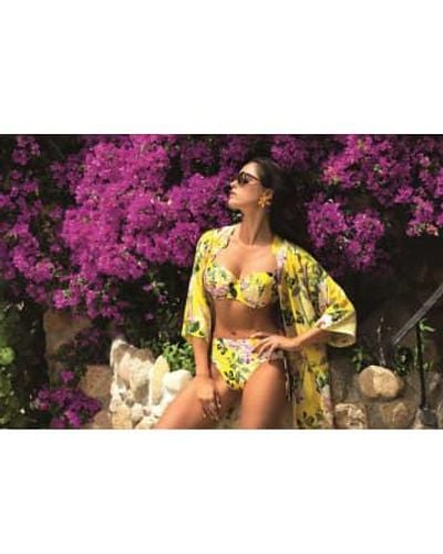 Lise Charmel Bikini rembourré jardin delice en jaune - Violet