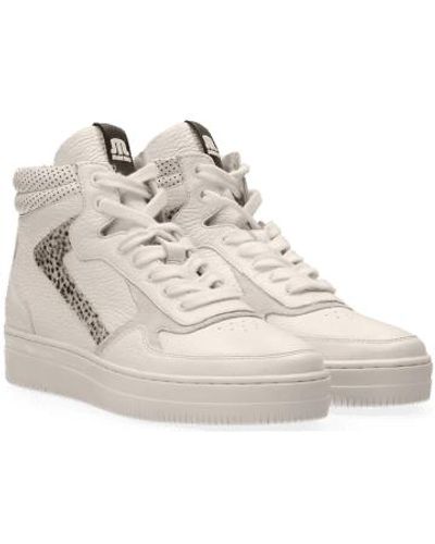 maruti sneakers sale